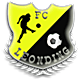 fc-leonding